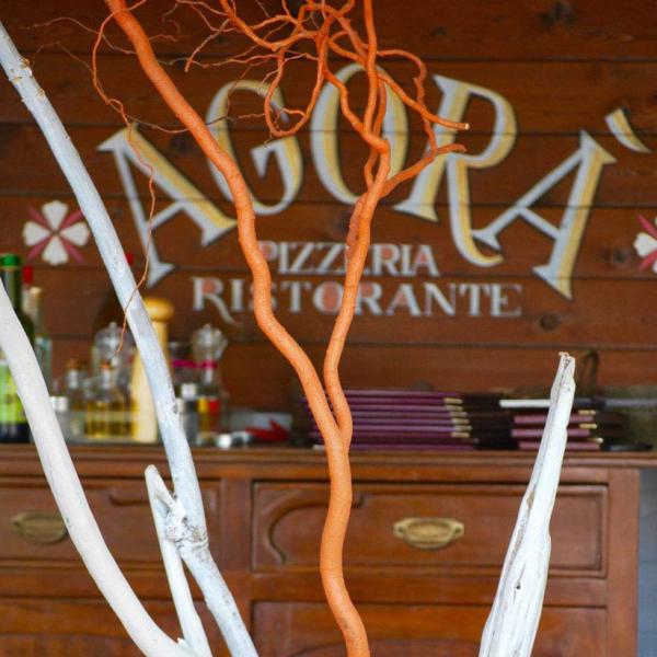 campingvillagebracciano en restaurant 006