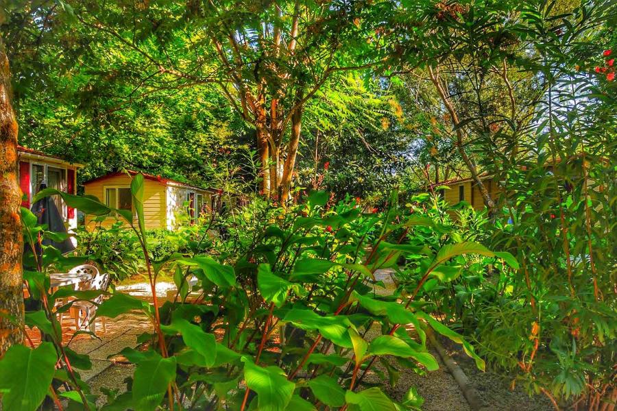 Giardino verde con case mobili e mobili da esterno.