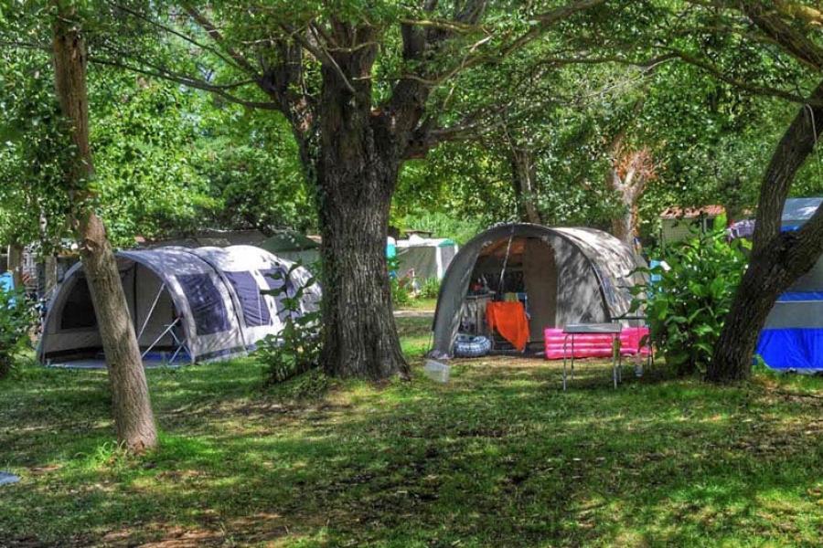 Camping tents in a green and wooded area.